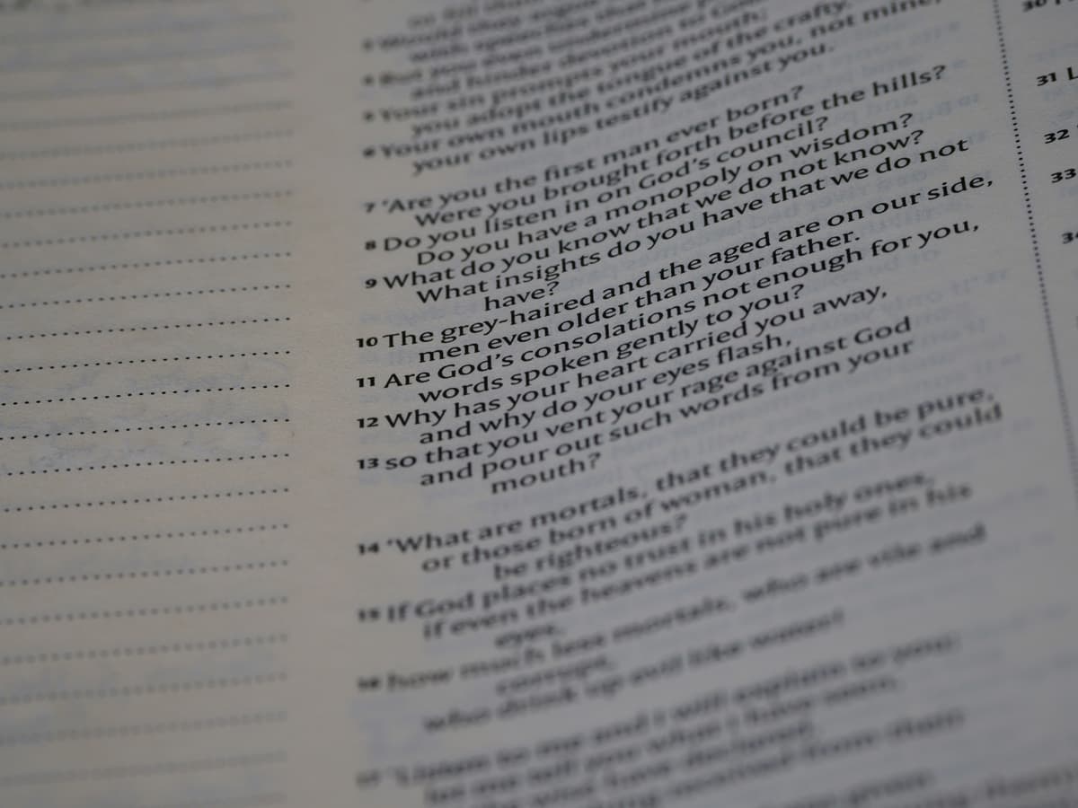 AI chat interface showing a question about a technical manual and a detailed answer